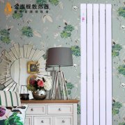 ů��Ƭ��װλ�ý��飬��װ���̣�